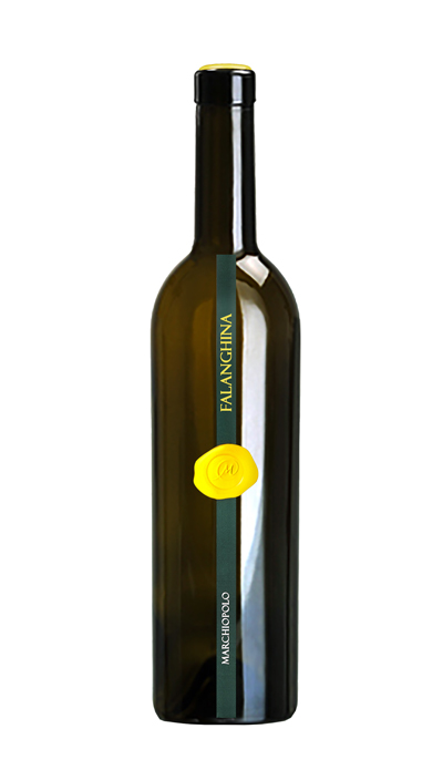 FALANGHINA 2022